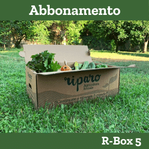 Abbonamento R-Box 5
