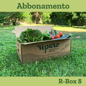 Abbonamento R-Box 8