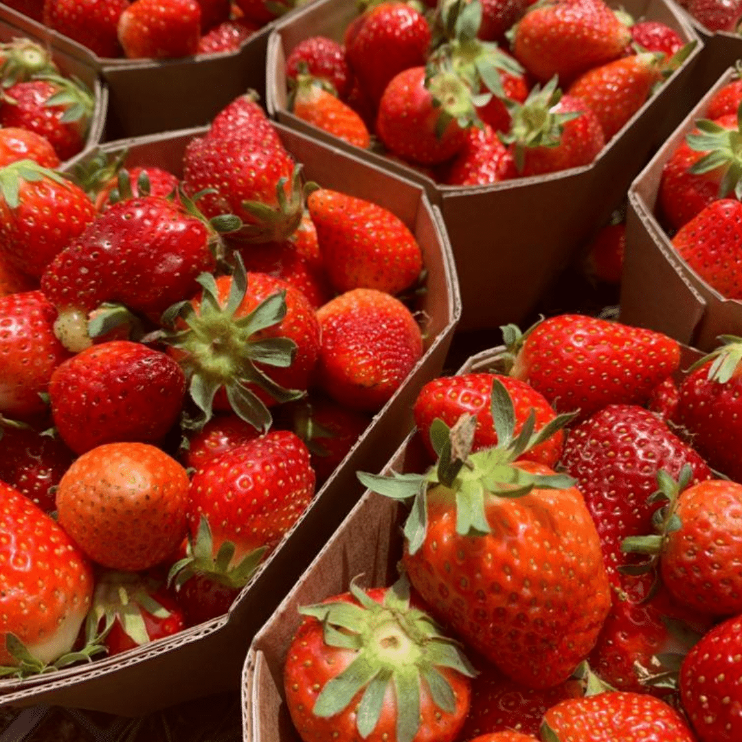 fragole fattoria Riparo