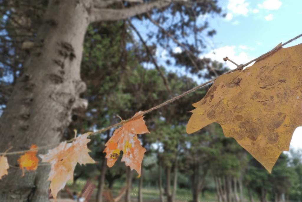 autunno fattoria riparo