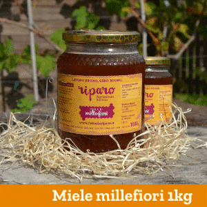Miele millefiori 1kg